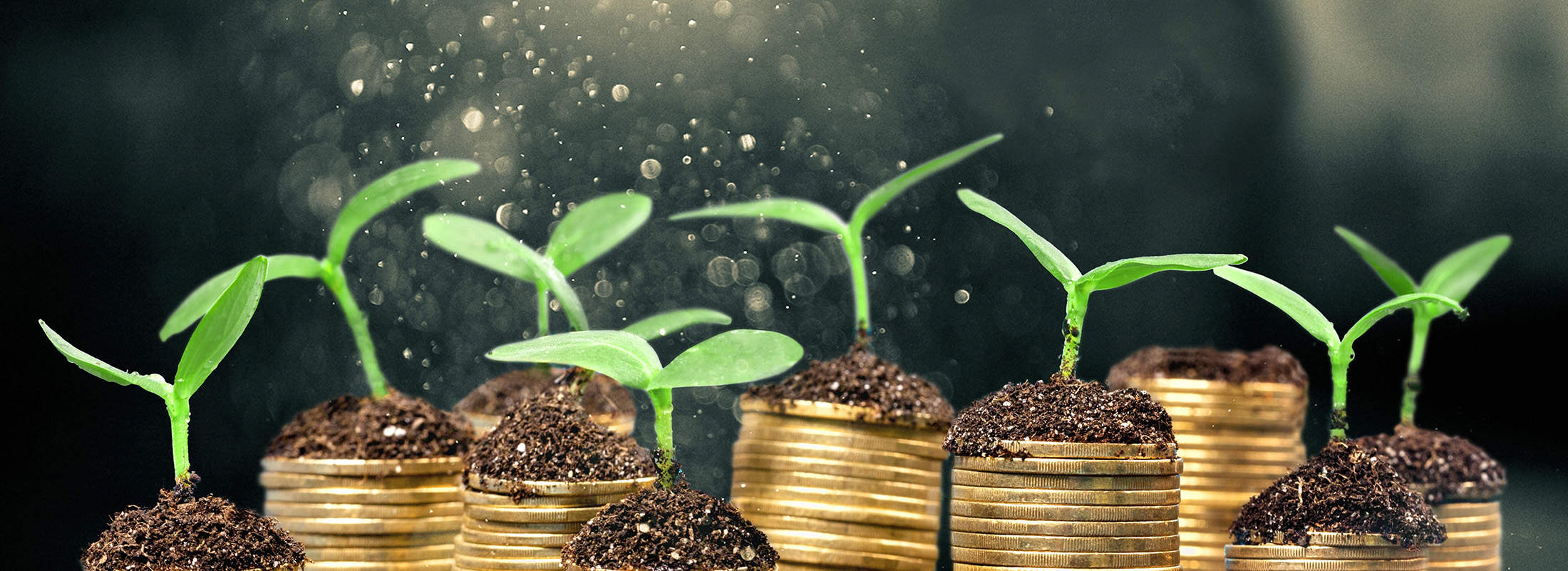 Funding source - LIVESEEDING
